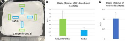 Pneumatospinning Biomimetic Scaffolds for Meniscus Tissue Engineering